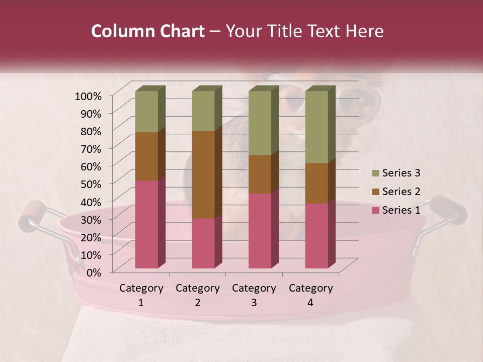 A Small Dog With Glasses Sitting In A Pink Tub PowerPoint Template