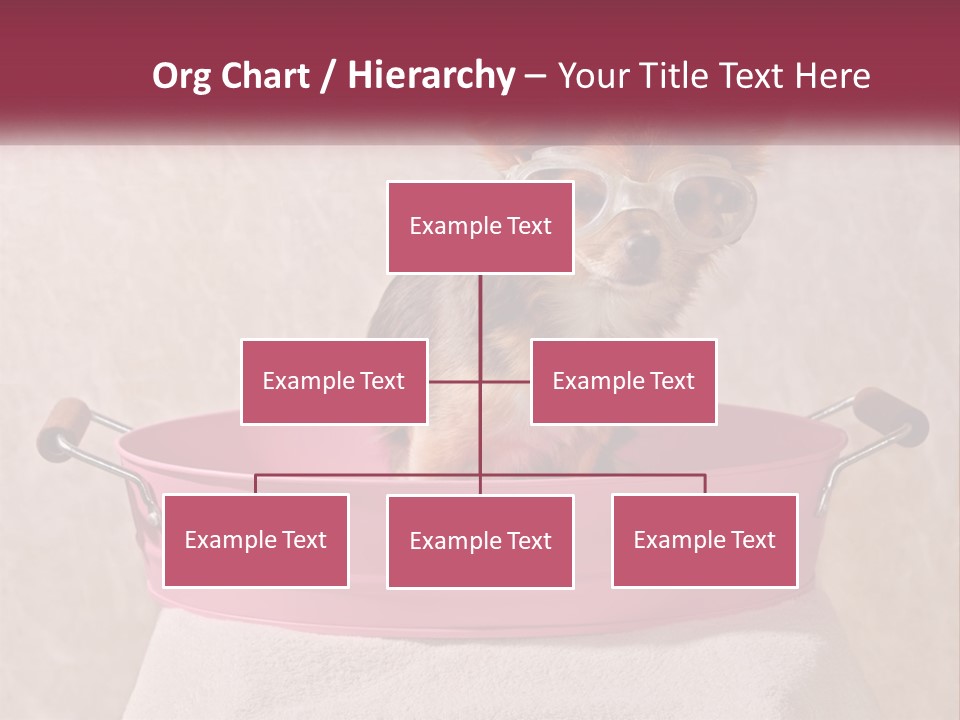 A Small Dog With Glasses Sitting In A Pink Tub PowerPoint Template