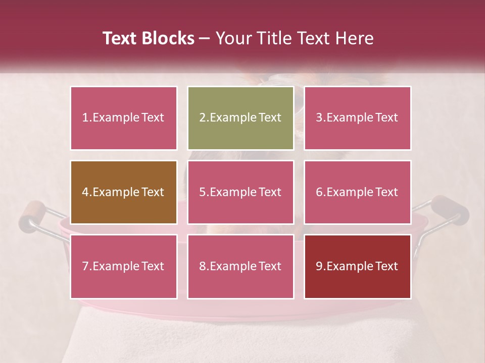 A Small Dog With Glasses Sitting In A Pink Tub PowerPoint Template