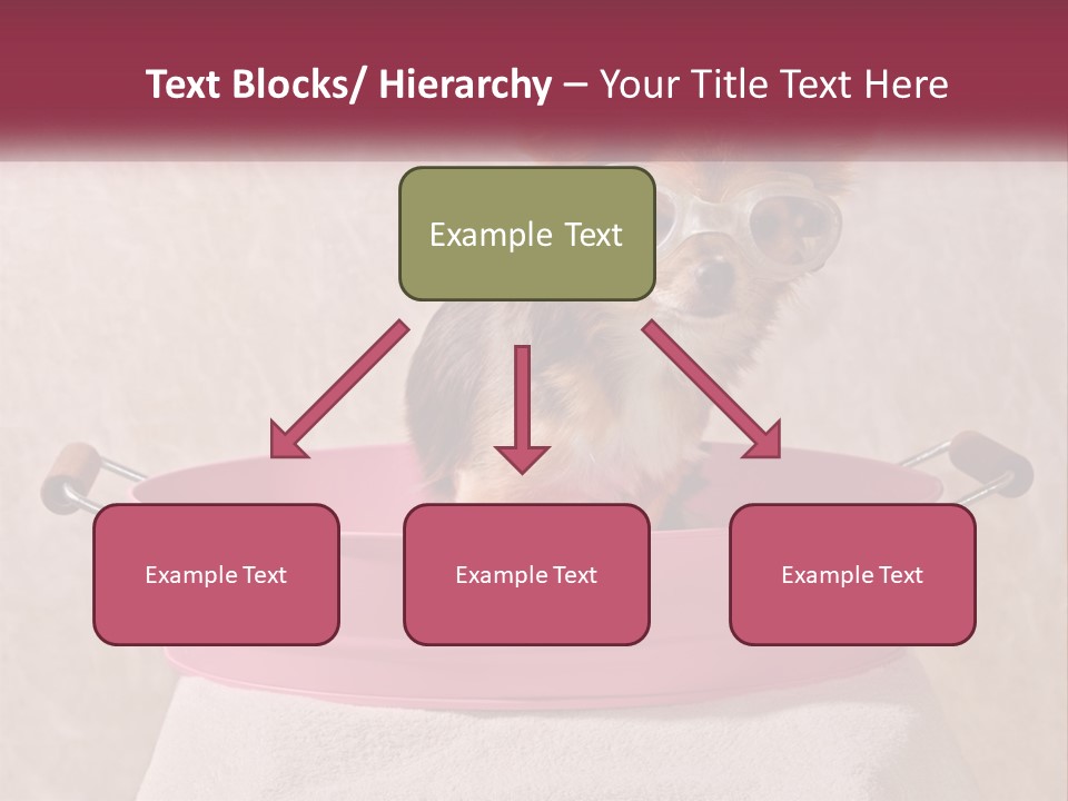 A Small Dog With Glasses Sitting In A Pink Tub PowerPoint Template