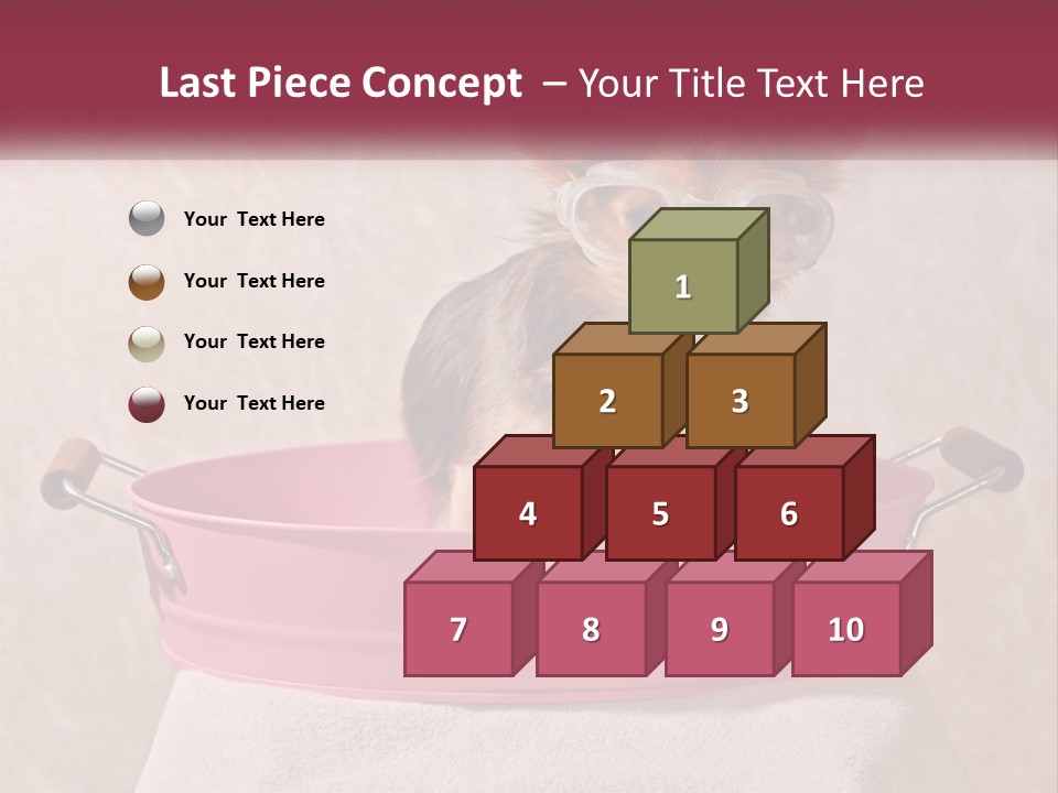 A Small Dog With Glasses Sitting In A Pink Tub PowerPoint Template