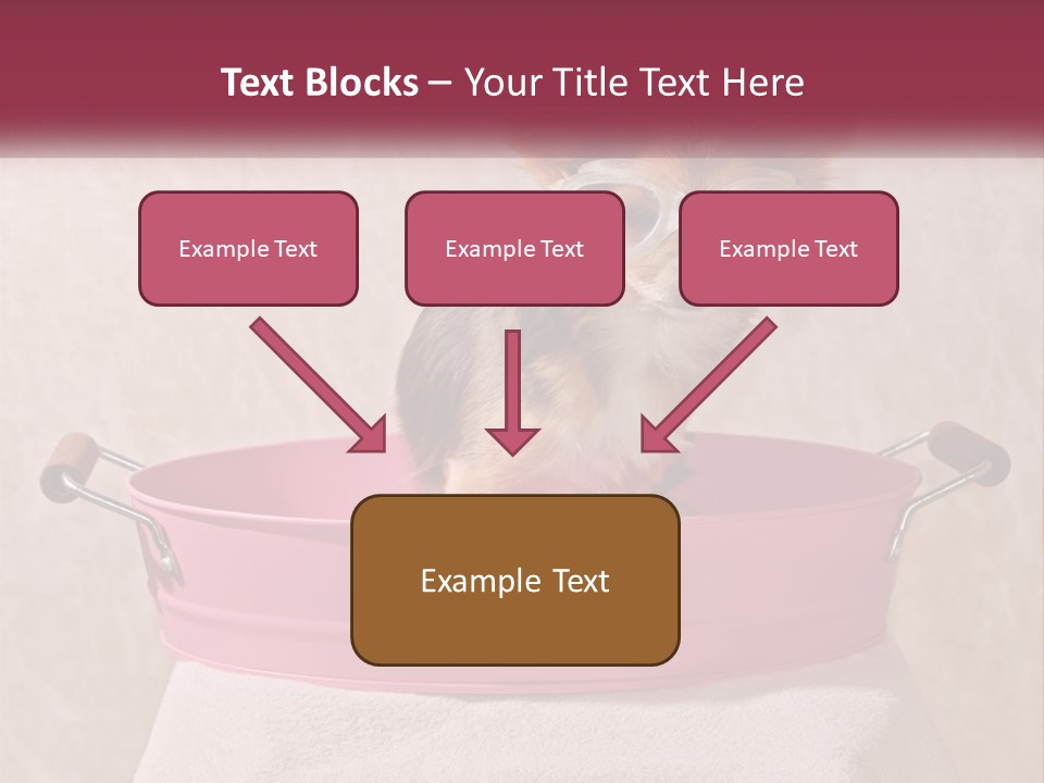 A Small Dog With Glasses Sitting In A Pink Tub PowerPoint Template