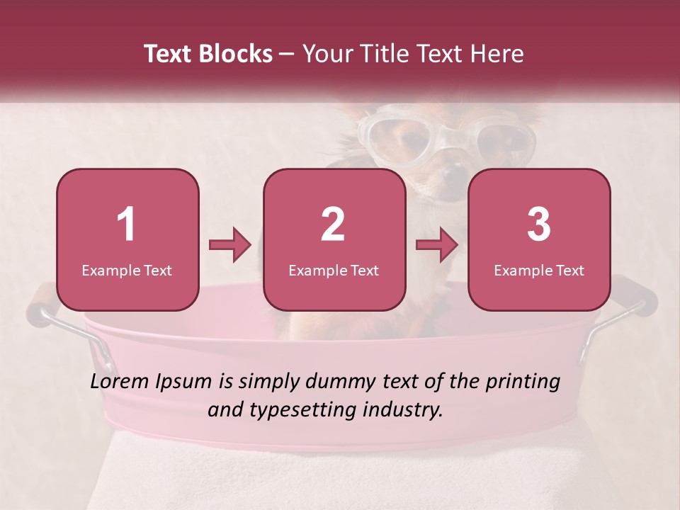 A Small Dog With Glasses Sitting In A Pink Tub PowerPoint Template