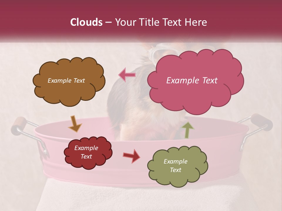 A Small Dog With Glasses Sitting In A Pink Tub PowerPoint Template