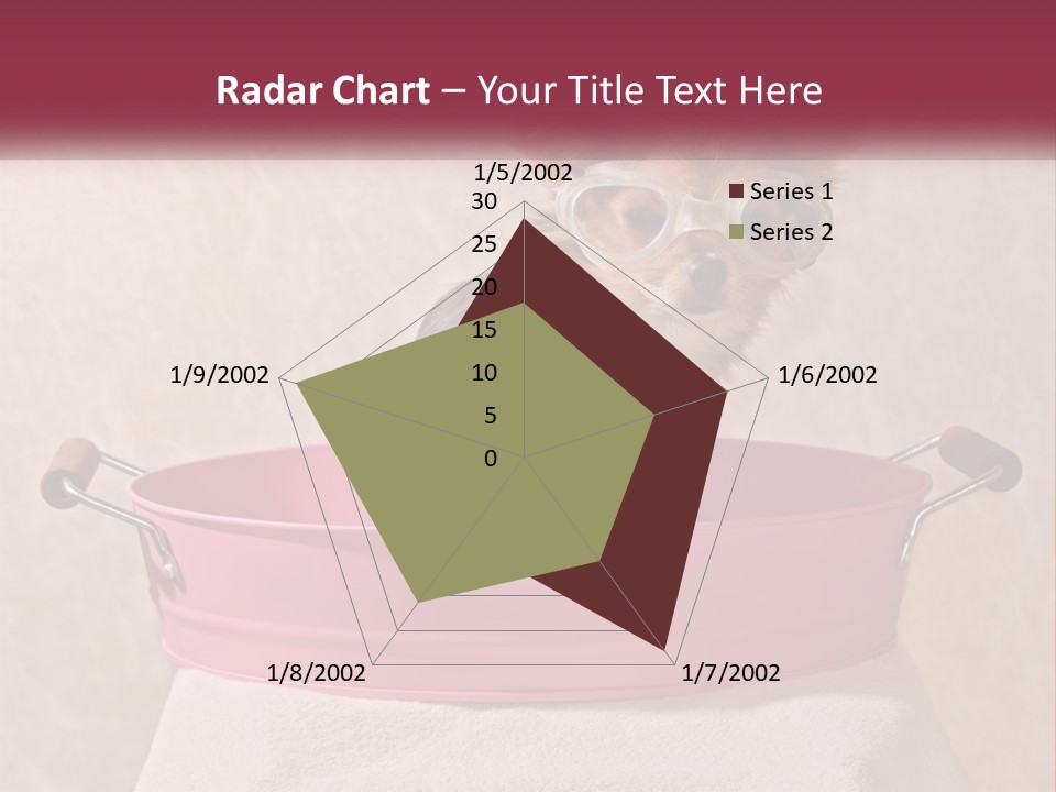 A Small Dog With Glasses Sitting In A Pink Tub PowerPoint Template