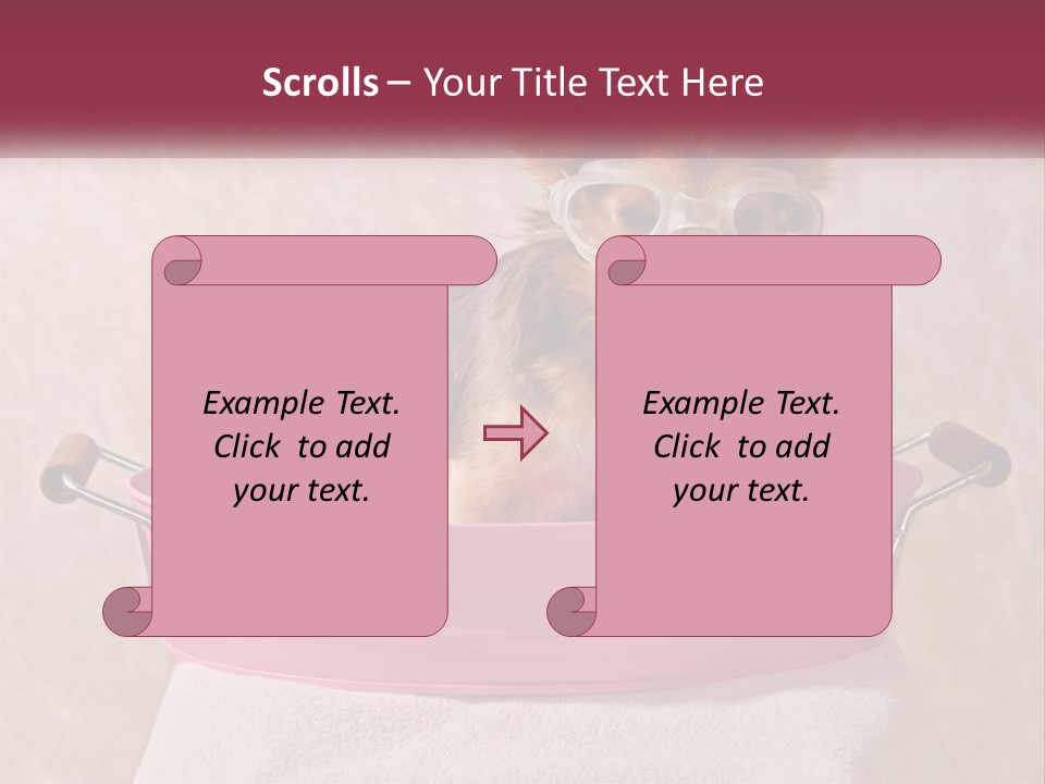 A Small Dog With Glasses Sitting In A Pink Tub PowerPoint Template