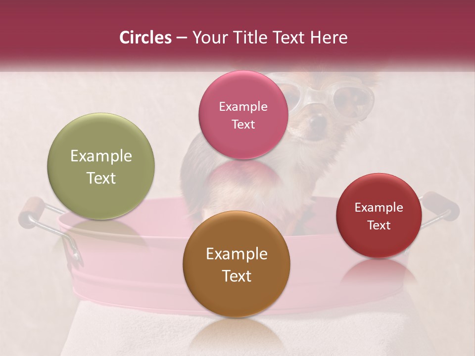 A Small Dog With Glasses Sitting In A Pink Tub PowerPoint Template