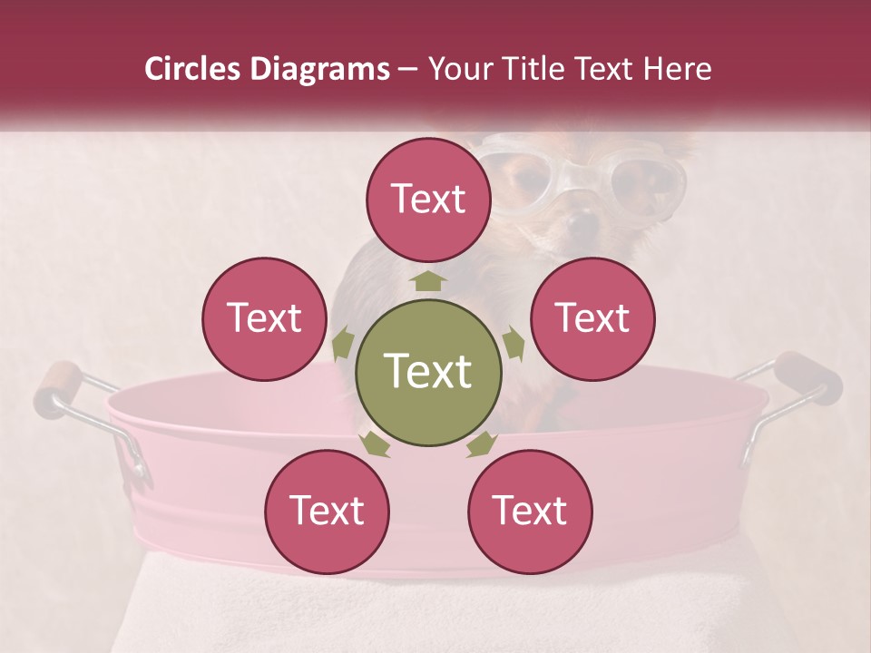A Small Dog With Glasses Sitting In A Pink Tub PowerPoint Template