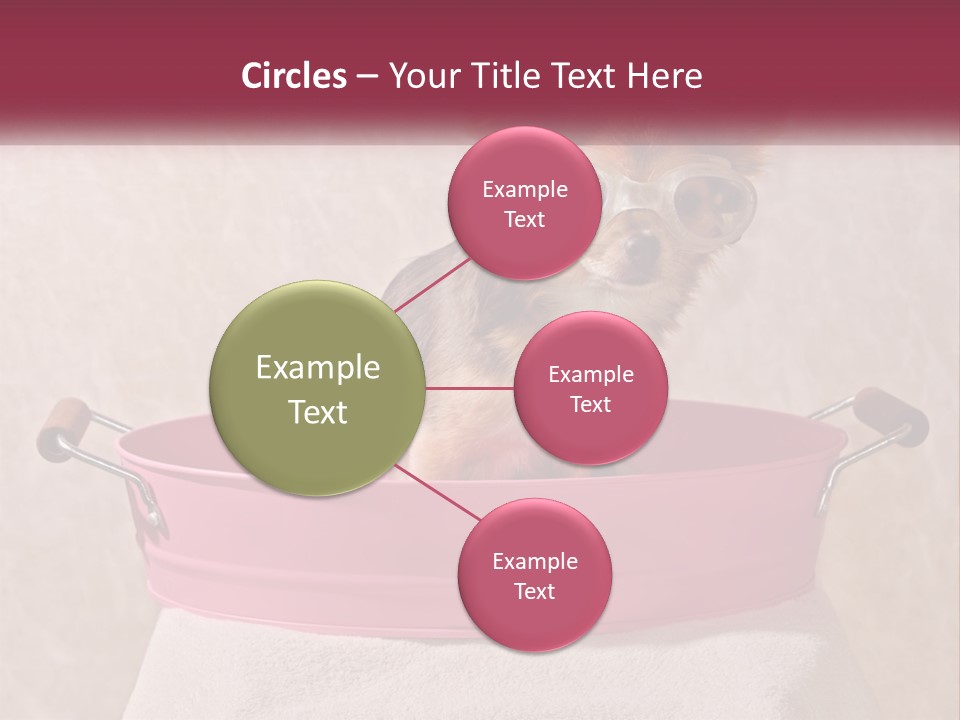 A Small Dog With Glasses Sitting In A Pink Tub PowerPoint Template