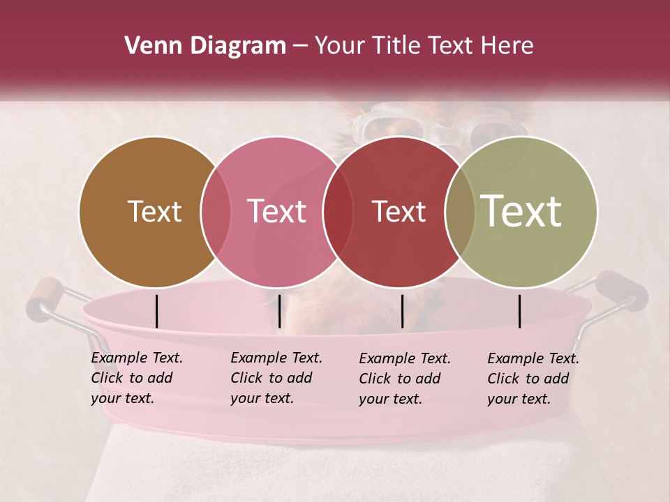 A Small Dog With Glasses Sitting In A Pink Tub PowerPoint Template