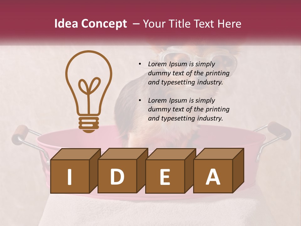 A Small Dog With Glasses Sitting In A Pink Tub PowerPoint Template