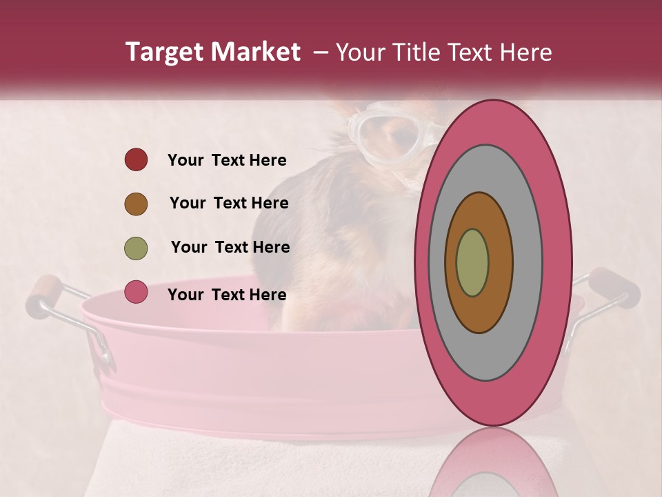 A Small Dog With Glasses Sitting In A Pink Tub PowerPoint Template