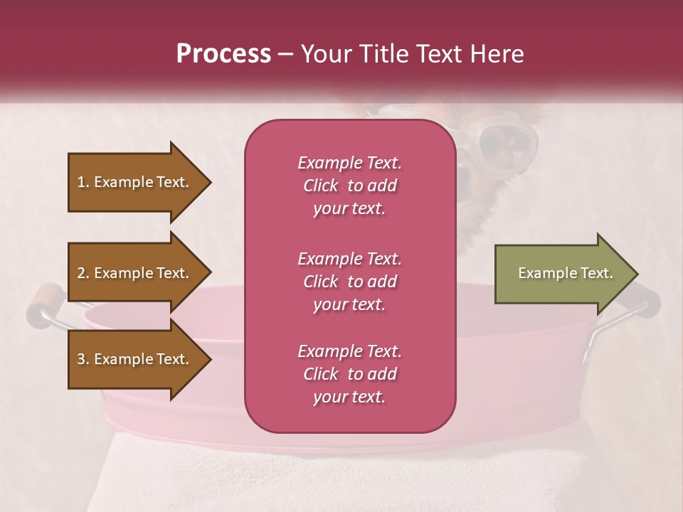 A Small Dog With Glasses Sitting In A Pink Tub PowerPoint Template
