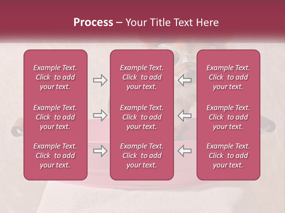 A Small Dog With Glasses Sitting In A Pink Tub PowerPoint Template