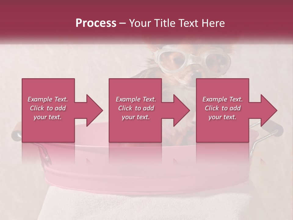 A Small Dog With Glasses Sitting In A Pink Tub PowerPoint Template