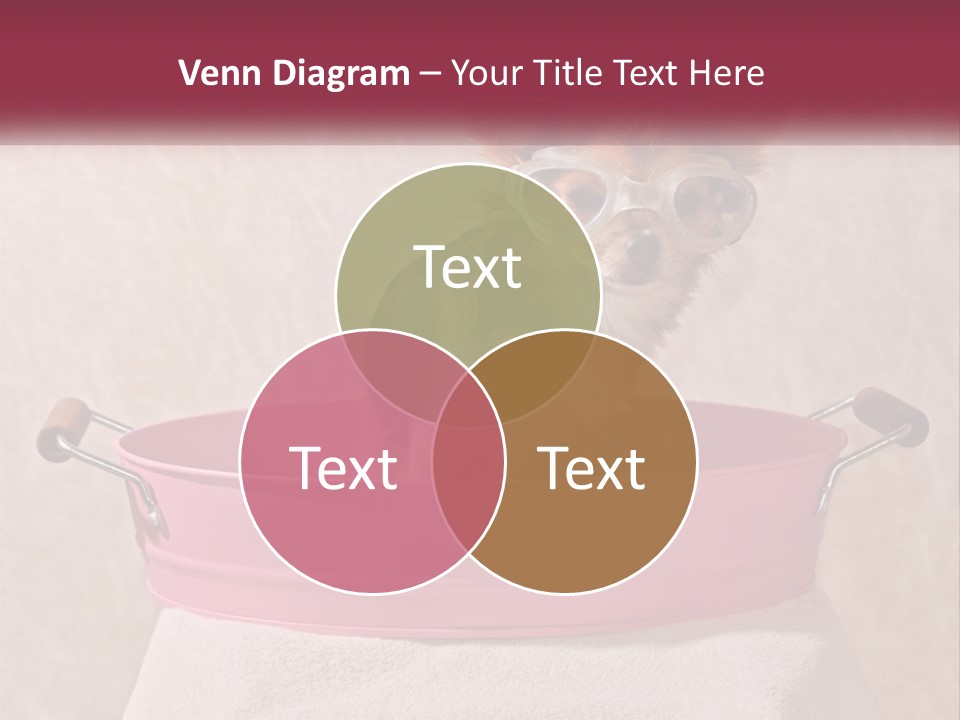A Small Dog With Glasses Sitting In A Pink Tub PowerPoint Template