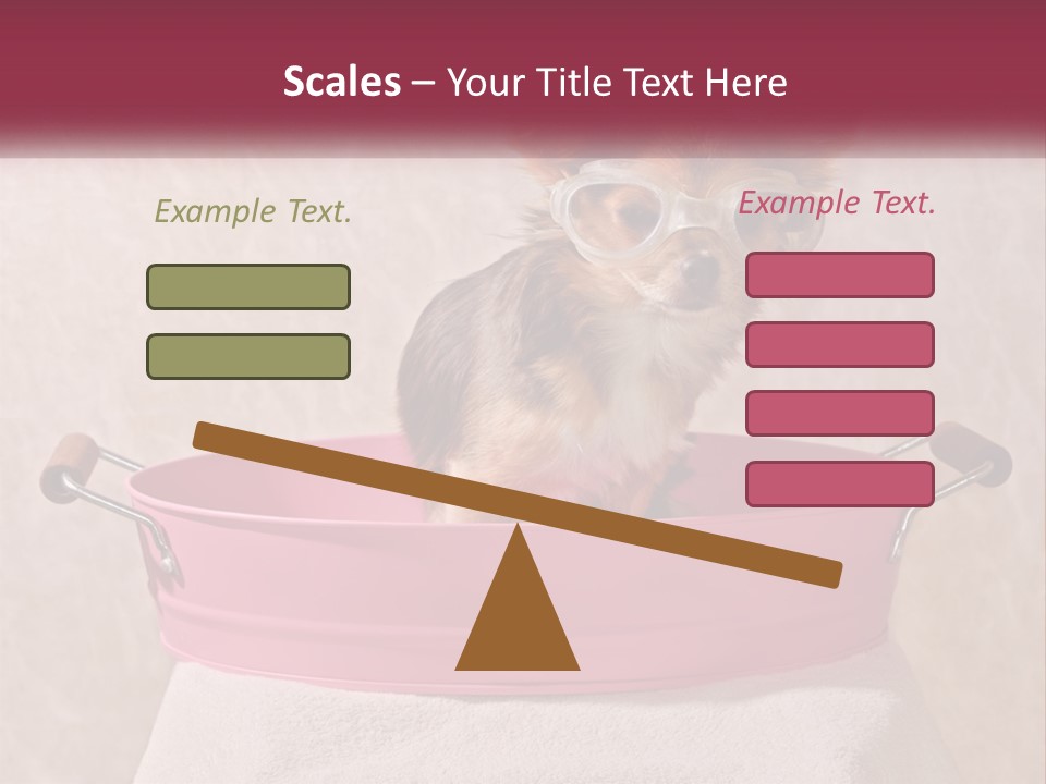 A Small Dog With Glasses Sitting In A Pink Tub PowerPoint Template