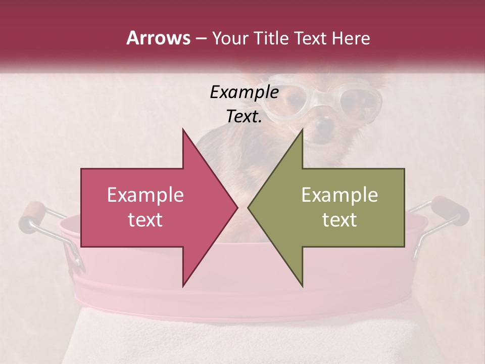 A Small Dog With Glasses Sitting In A Pink Tub PowerPoint Template