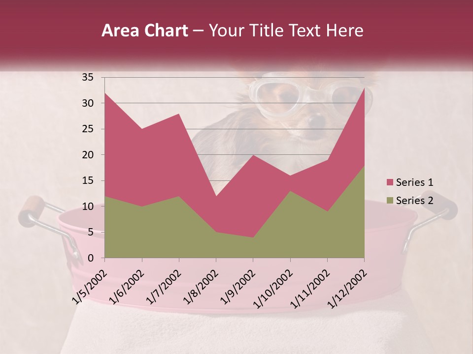 A Small Dog With Glasses Sitting In A Pink Tub PowerPoint Template