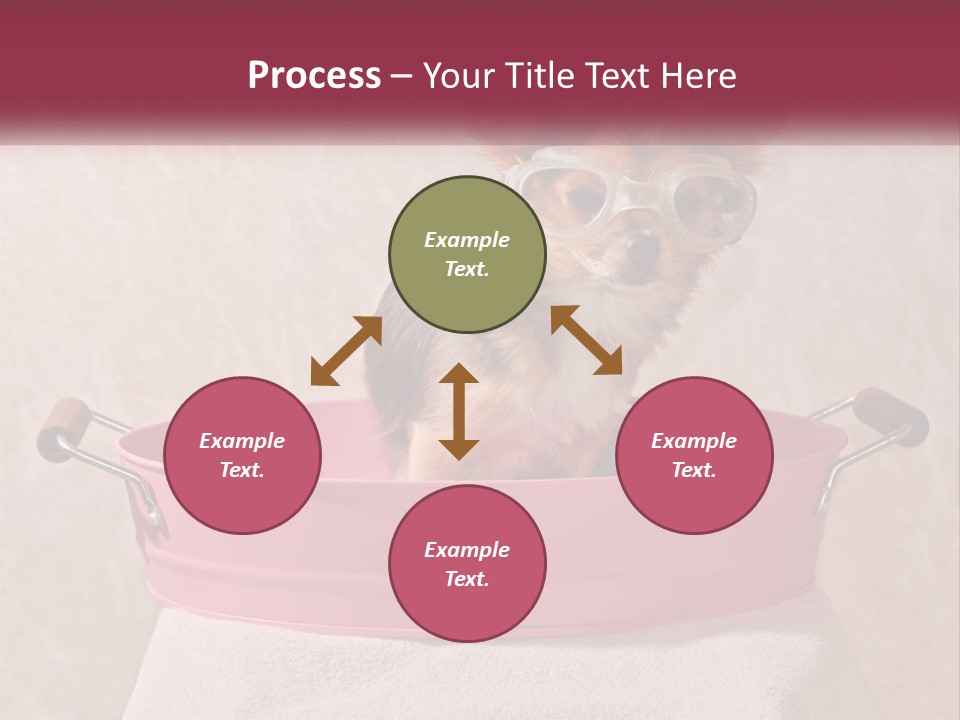 A Small Dog With Glasses Sitting In A Pink Tub PowerPoint Template