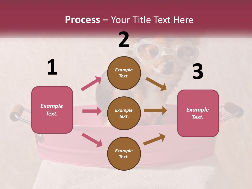 A Small Dog With Glasses Sitting In A Pink Tub PowerPoint Template