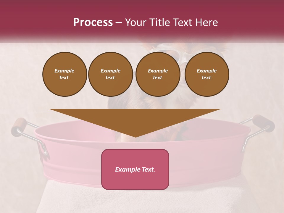 A Small Dog With Glasses Sitting In A Pink Tub PowerPoint Template