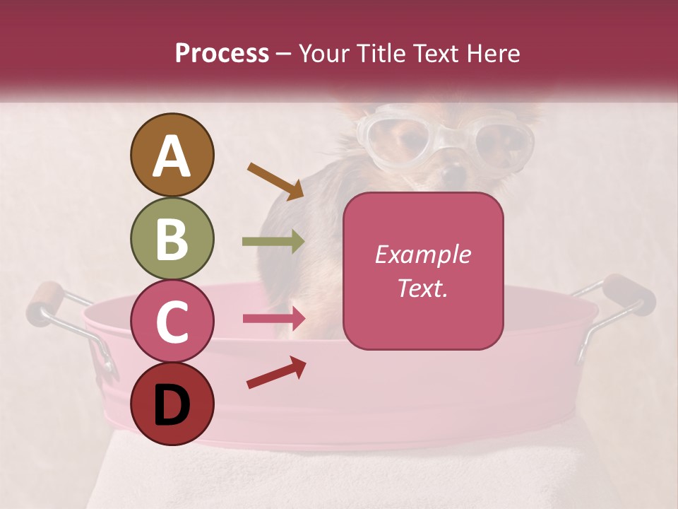 A Small Dog With Glasses Sitting In A Pink Tub PowerPoint Template