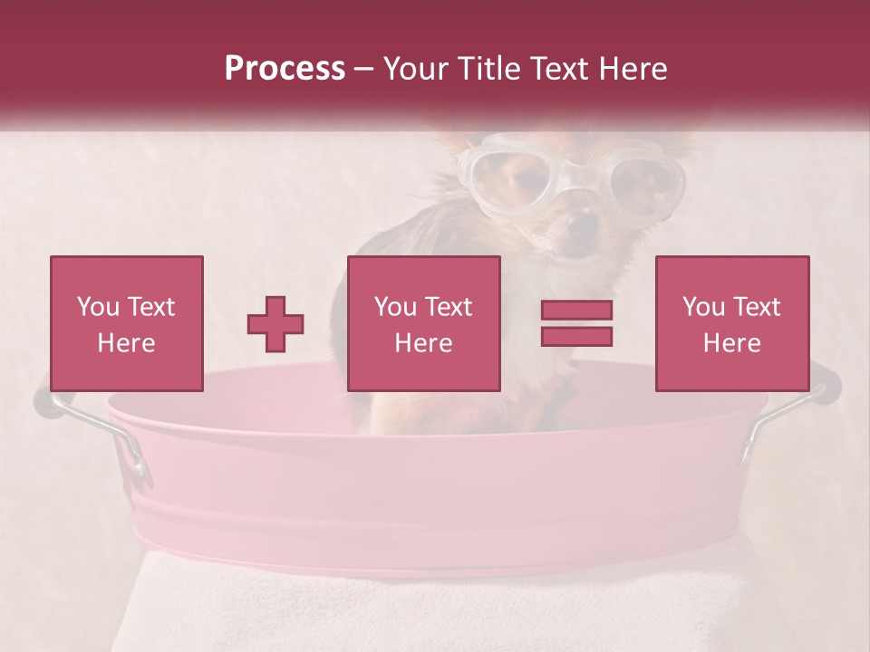 A Small Dog With Glasses Sitting In A Pink Tub PowerPoint Template
