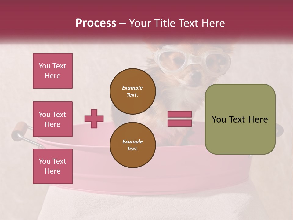 A Small Dog With Glasses Sitting In A Pink Tub PowerPoint Template