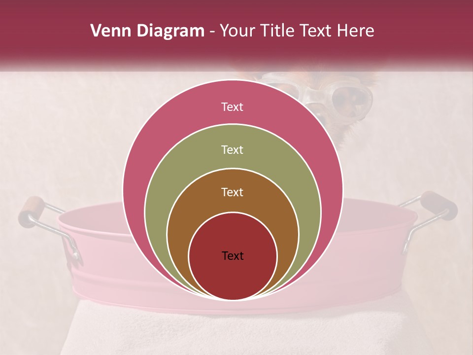 A Small Dog With Glasses Sitting In A Pink Tub PowerPoint Template