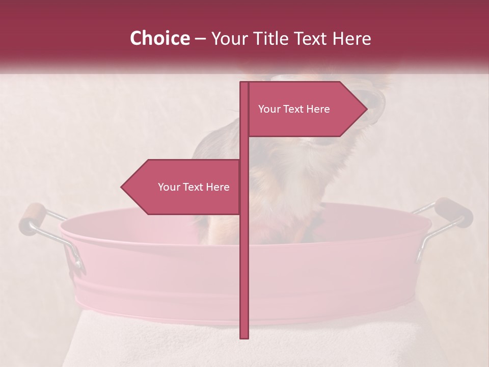 A Small Dog With Glasses Sitting In A Pink Tub PowerPoint Template