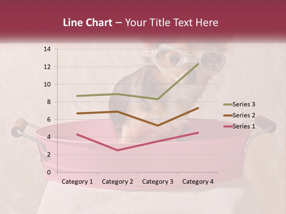 A Small Dog With Glasses Sitting In A Pink Tub PowerPoint Template