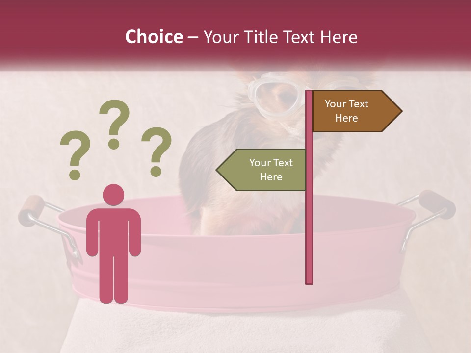 A Small Dog With Glasses Sitting In A Pink Tub PowerPoint Template