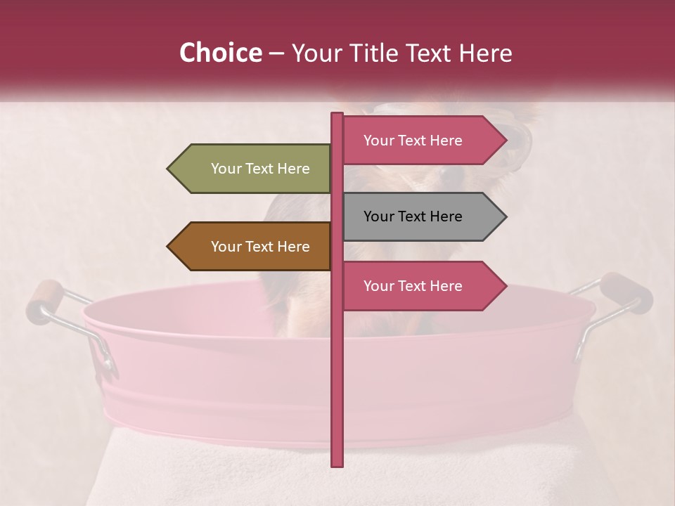 A Small Dog With Glasses Sitting In A Pink Tub PowerPoint Template