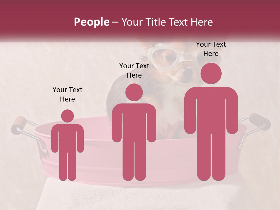 A Small Dog With Glasses Sitting In A Pink Tub PowerPoint Template