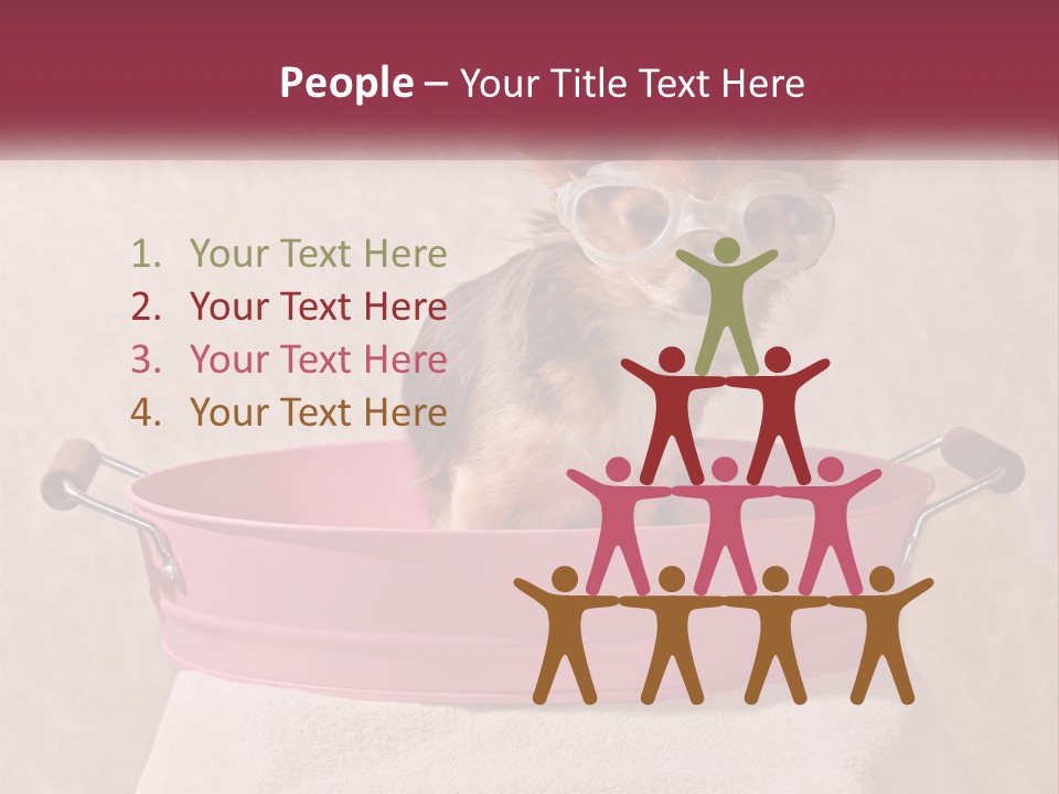 A Small Dog With Glasses Sitting In A Pink Tub PowerPoint Template