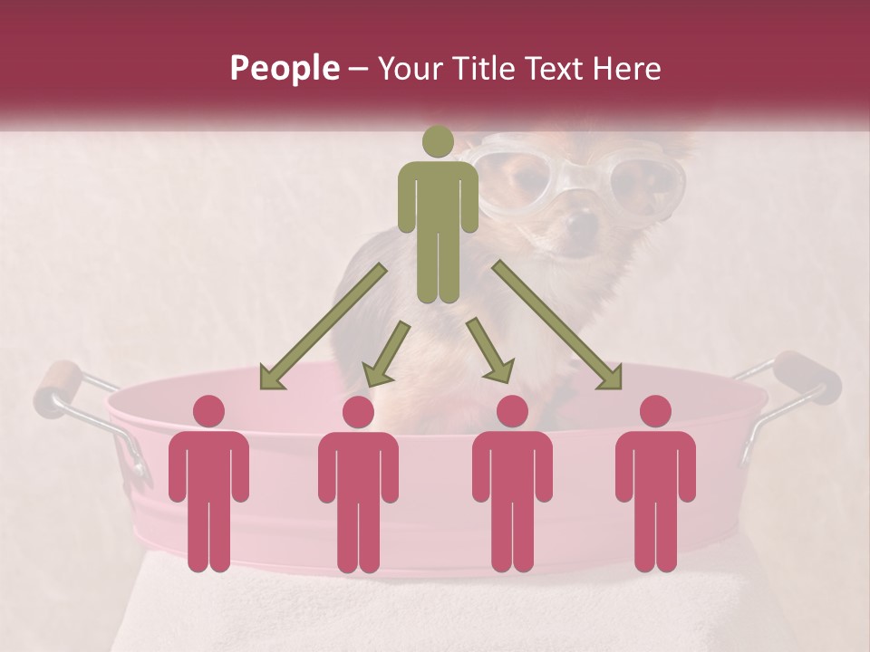 A Small Dog With Glasses Sitting In A Pink Tub PowerPoint Template