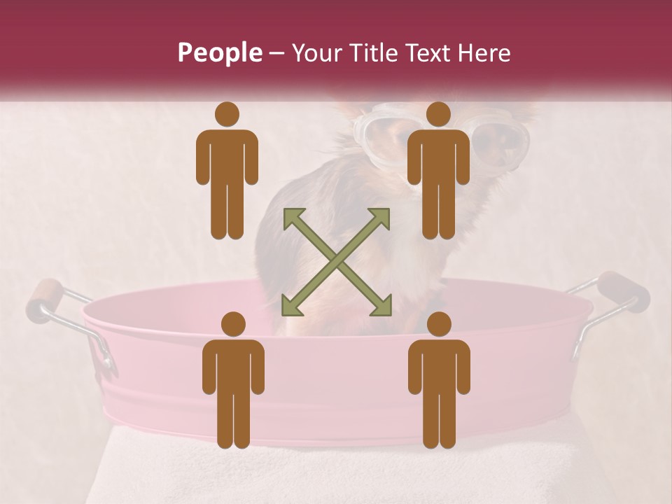 A Small Dog With Glasses Sitting In A Pink Tub PowerPoint Template