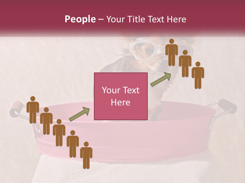 A Small Dog With Glasses Sitting In A Pink Tub PowerPoint Template