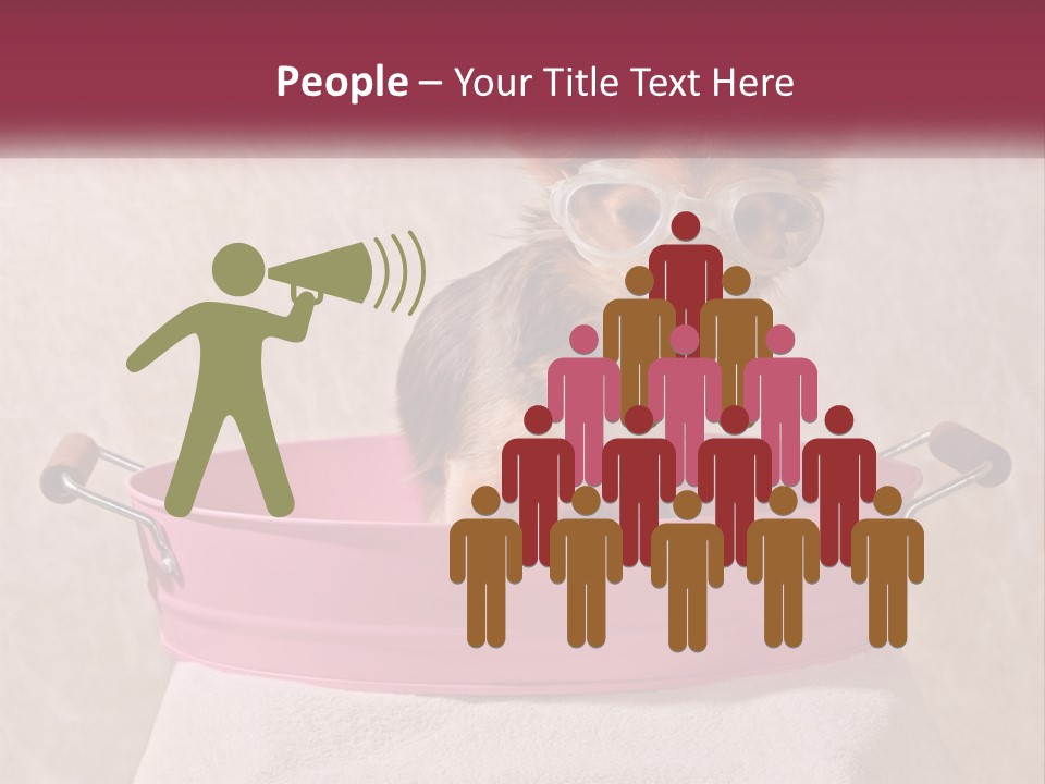 A Small Dog With Glasses Sitting In A Pink Tub PowerPoint Template