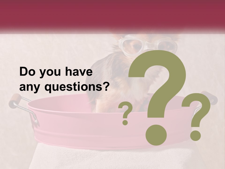 A Small Dog With Glasses Sitting In A Pink Tub PowerPoint Template