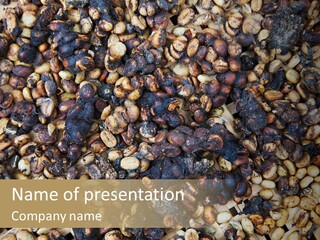 A Pile Of Nuts With The Words Name Of Presentation PowerPoint Template