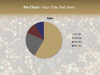 A Pile Of Nuts With The Words Name Of Presentation PowerPoint Template