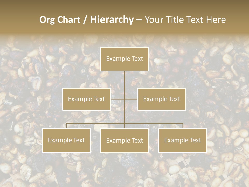 A Pile Of Nuts With The Words Name Of Presentation PowerPoint Template