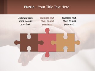 A Group Of People Holding Hands In A Circle PowerPoint Template