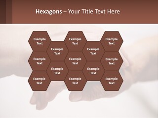 A Group Of People Holding Hands In A Circle PowerPoint Template