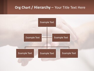 A Group Of People Holding Hands In A Circle PowerPoint Template