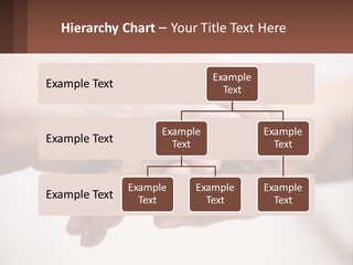 A Group Of People Holding Hands In A Circle PowerPoint Template