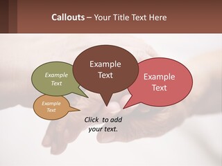 A Group Of People Holding Hands In A Circle PowerPoint Template