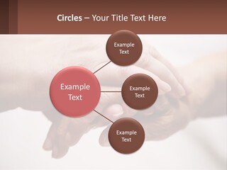 A Group Of People Holding Hands In A Circle PowerPoint Template